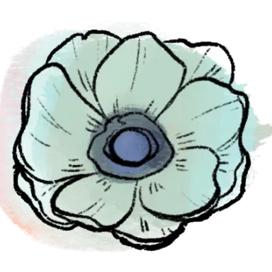 anemone